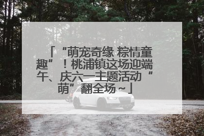“萌宠奇缘 粽情童趣”！桃浦镇这场迎端午、庆六一主题活动“萌”翻全场～