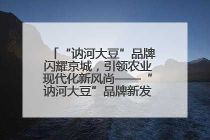 “讷河大豆”品牌闪耀京城，引领农业现代化新风尚——“讷河大豆”品牌新发地推介会圆满落幕