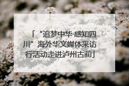 “追梦中华·感知四川”海外华文媒体采访行活动走进泸州古蔺