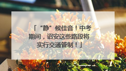 “静”候佳音！中考期间，诏安这些路段将实行交通管制！