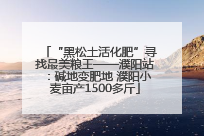 “黑松土活化肥”寻找最美粮王——濮阳站：碱地变肥地 濮阳小麦亩产1500多斤