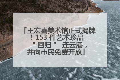 王宏喜美术馆正式揭牌！153 件艺术珍品 “ 回归 ” 连云港，并向市民免费开放