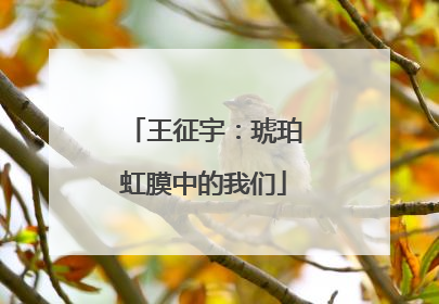 王征宇：琥珀虹膜中的我们