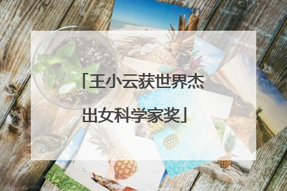 王小云获世界杰出女科学家奖