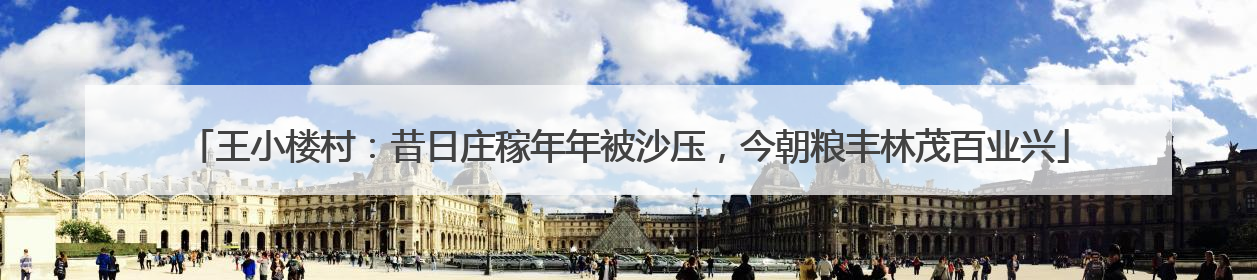 王小楼村：昔日庄稼年年被沙压，今朝粮丰林茂百业兴