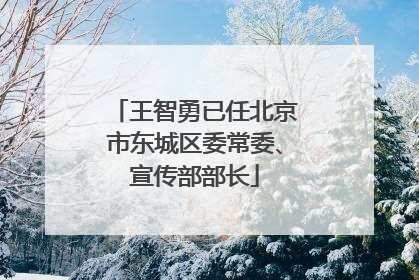 王智勇已任北京市东城区委常委、宣传部部长