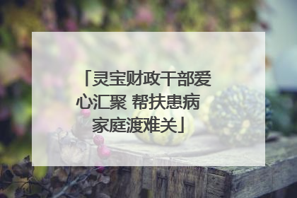 灵宝财政干部爱心汇聚 帮扶患病家庭渡难关