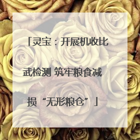 灵宝：开展机收比武检测 筑牢粮食减损“无形粮仓”