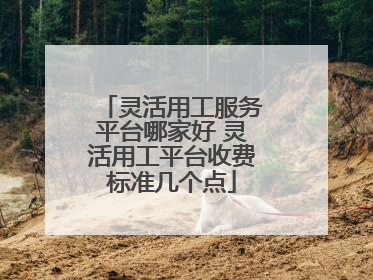 灵活用工服务平台哪家好 灵活用工平台收费标准几个点