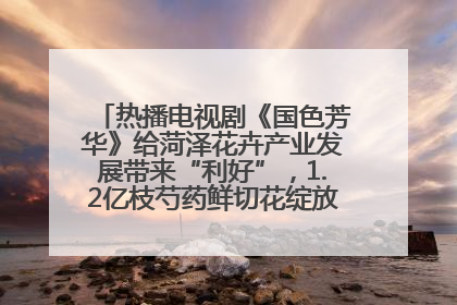热播电视剧《国色芳华》给菏泽花卉产业发展带来“利好”，1.2亿枝芍药鲜切花绽放“国色芳华”