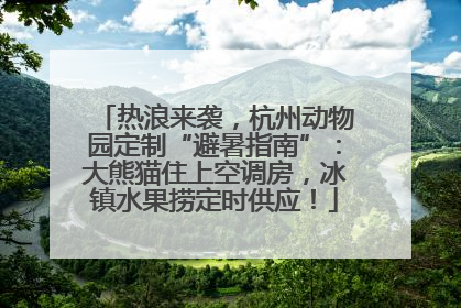 热浪来袭，杭州动物园定制“避暑指南”：大熊猫住上空调房，冰镇水果捞定时供应！