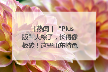 热闻｜“Plus版”大粽子，长得像板砖！这些山东特色粽子你吃过吗？