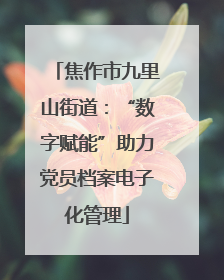焦作市九里山街道：“数字赋能”助力党员档案电子化管理