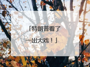 特朗普看了一出大戏！