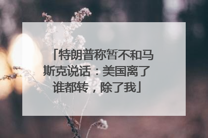 特朗普称暂不和马斯克说话：美国离了谁都转，除了我