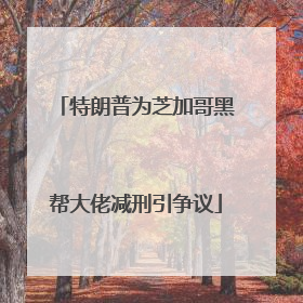 特朗普为芝加哥黑帮大佬减刑引争议