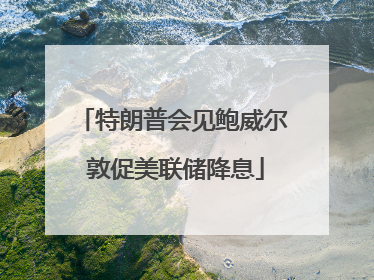 特朗普会见鲍威尔 敦促美联储降息