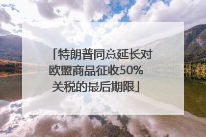 特朗普同意延长对欧盟商品征收50%关税的最后期限