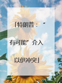 特朗普：“有可能”介入以伊冲突