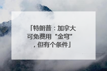 特朗普：加拿大可免费用“金穹”，但有个条件