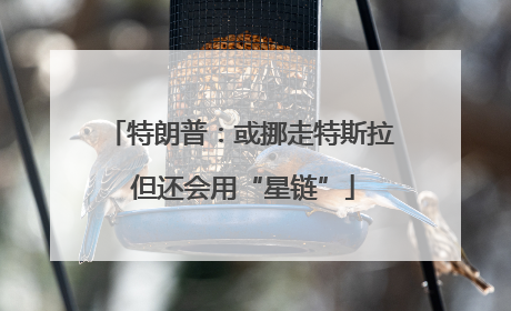 特朗普：或挪走特斯拉 但还会用“星链”