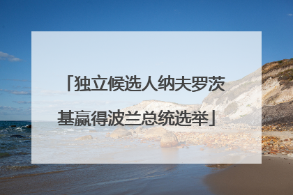 独立候选人纳夫罗茨基赢得波兰总统选举