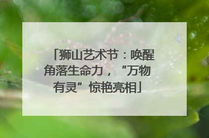 狮山艺术节：唤醒角落生命力，“万物有灵”惊艳亮相