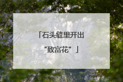 石头缝里开出“致富花”