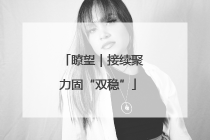 瞭望｜接续聚力固“双稳”
