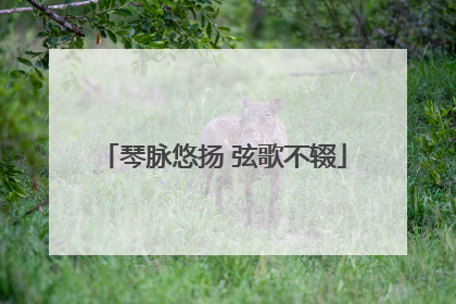 琴脉悠扬 弦歌不辍
