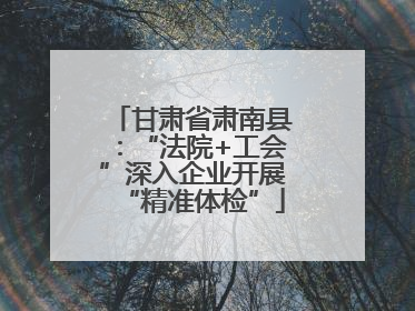 甘肃省肃南县：“法院+工会”深入企业开展“精准体检”