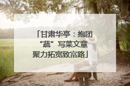 甘肃华亭：抱团“蔬”写菜文章 聚力拓宽致富路