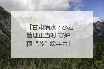 甘肃清水：小麦管理正当时 守护粮“芯”绘丰景