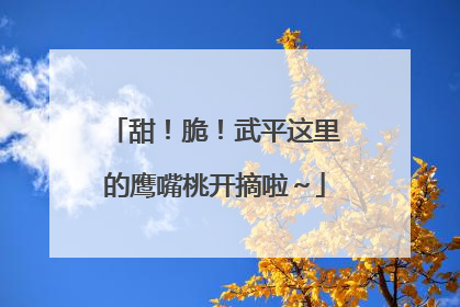甜！脆！武平这里的鹰嘴桃开摘啦～