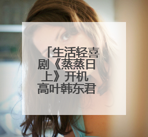 生活轻喜剧《蒸蒸日上》开机 高叶韩东君领衔主演