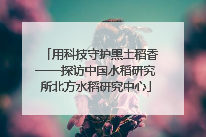 用科技守护黑土稻香——探访中国水稻研究所北方水稻研究中心