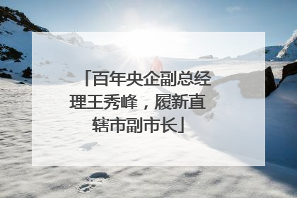 百年央企副总经理王秀峰，履新直辖市副市长
