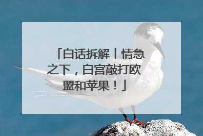 白话拆解丨情急之下，白宫敲打欧盟和苹果！