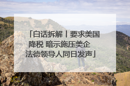 白话拆解丨要求美国降税 暗示施压美企 法德领导人同日发声