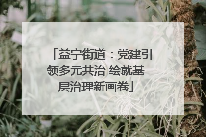 益宁街道：党建引领多元共治 绘就基层治理新画卷