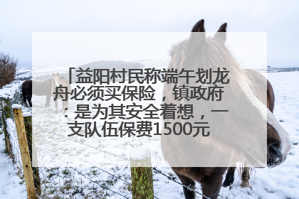 益阳村民称端午划龙舟必须买保险，镇政府：是为其安全着想，一支队伍保费1500元到2500元