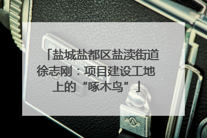盐城盐都区盐渎街道徐志刚：项目建设工地上的“啄木鸟”