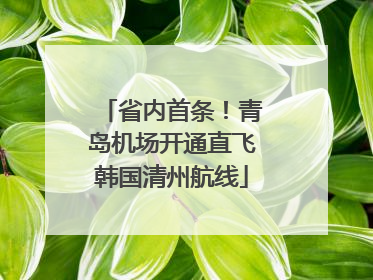 省内首条！青岛机场开通直飞韩国清州航线