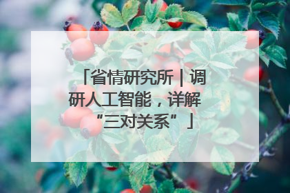 省情研究所｜调研人工智能，详解“三对关系”