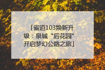 省道103焕新升级：泉城“后花园”开启梦幻公路之旅