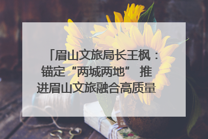 眉山文旅局长王枫：锚定“两城两地” 推进眉山文旅融合高质量发展｜文旅局长说