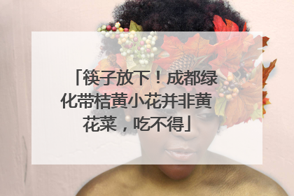 筷子放下！成都绿化带桔黄小花并非黄花菜，吃不得
