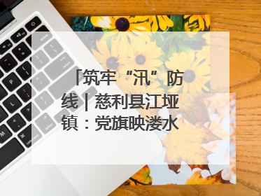 筑牢“汛”防线｜慈利县江垭镇：党旗映溇水 清淤见担当