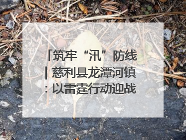 筑牢“汛”防线｜慈利县龙潭河镇：以雷霆行动迎战暴雨洪峰