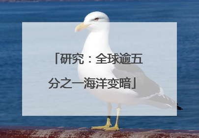 研究：全球逾五分之一海洋变暗